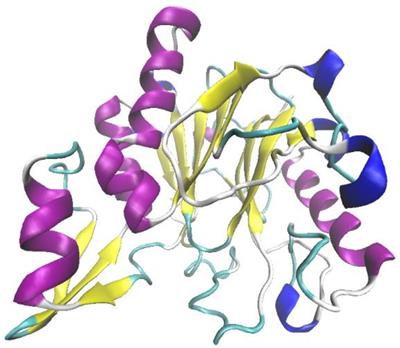 A Novel Polyphenol Oxidoreductase OhLac from Ochrobactrum sp. J10 for Lignin Degradation